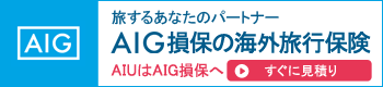 ＡＩＧ損害保険株式会社